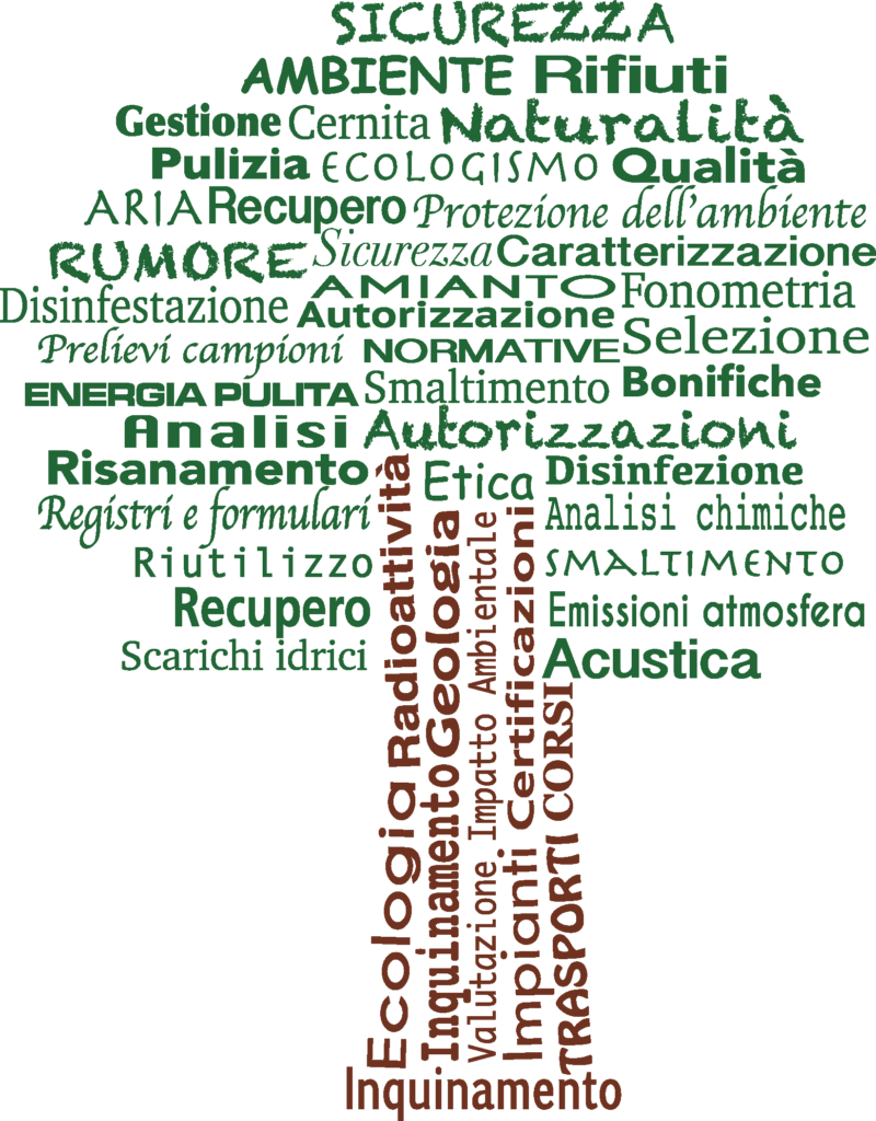 Le competenze ambientali di Succol: nuvola di parole a forma di albero